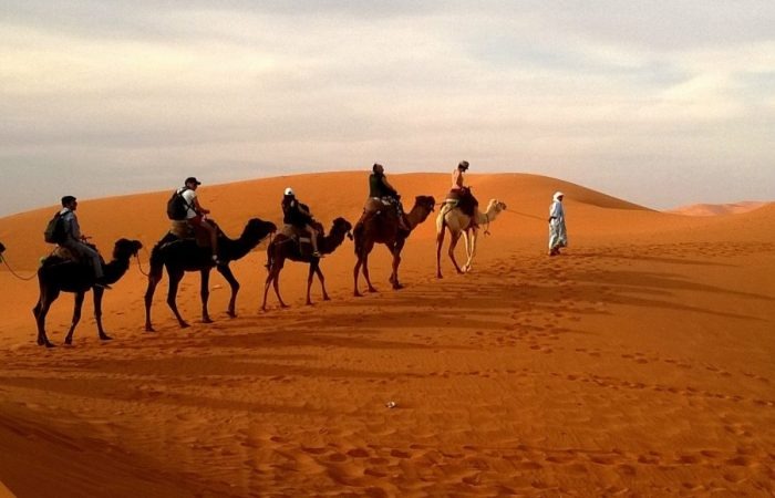 Morning Desert Safari With Camel Ride